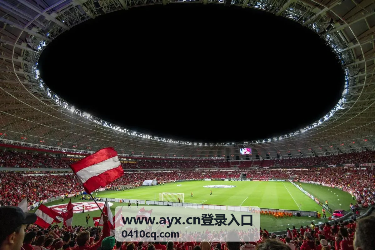www.ayx.cn登录入口提示信息截图与时间记录方法