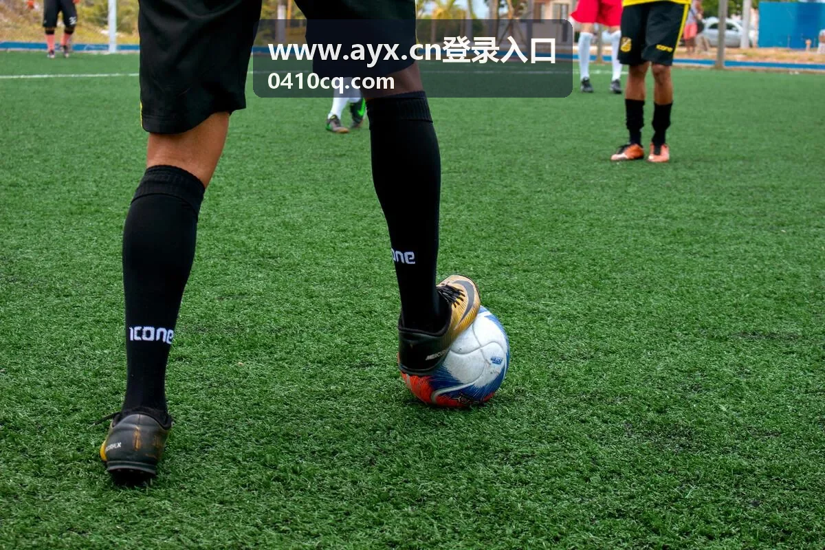www.ayx.cn登录入口手机验证码接收异常处理